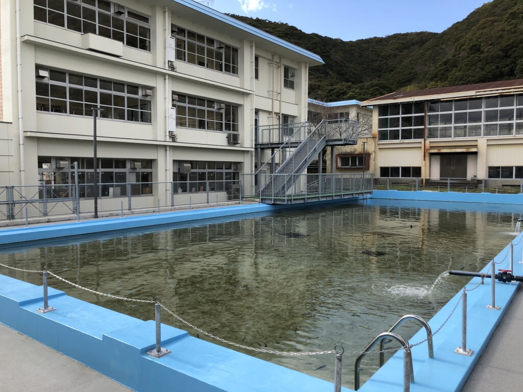 むろと廃校水族館の写真14