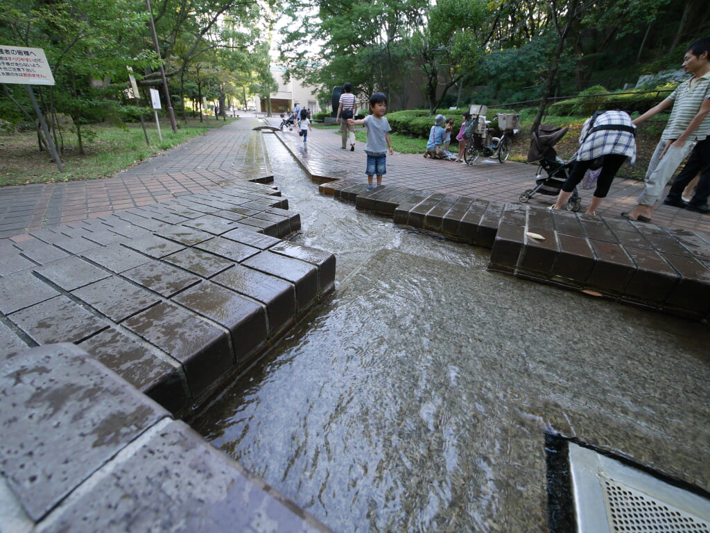 芹ヶ谷公園の写真2