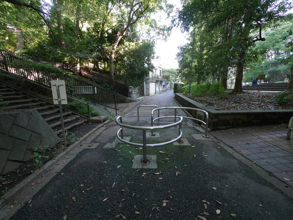 芹ヶ谷公園の写真3