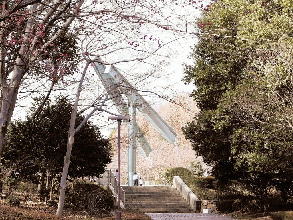 芹ヶ谷公園の写真6