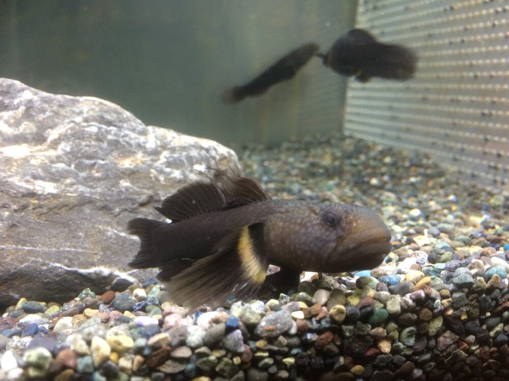 足立区生物園の写真3