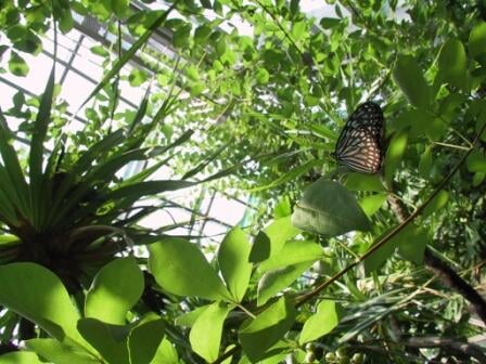 足立区生物園の写真1