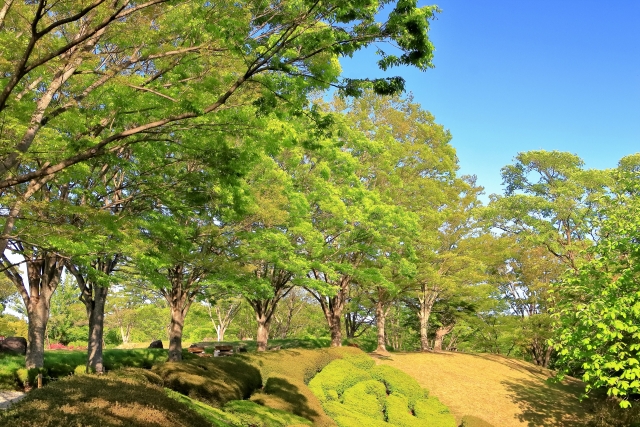 宮城県 県民の森の写真4