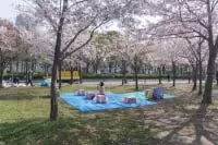 大阪城公園