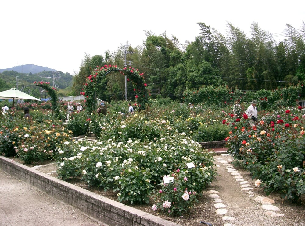 大阪府立花の文化園の写真3