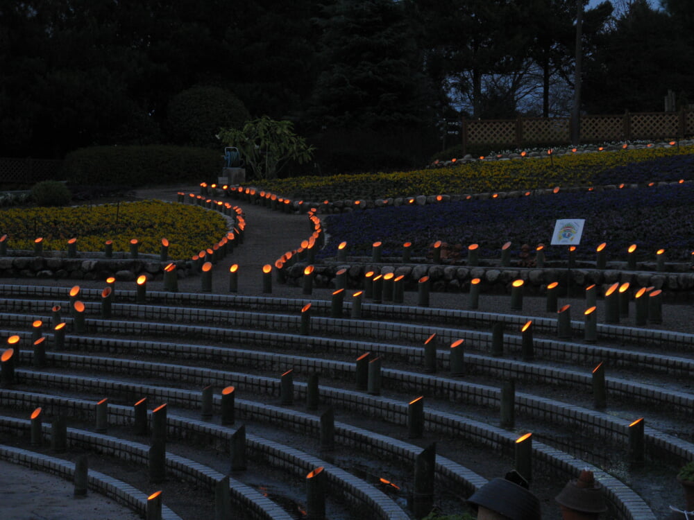 大阪府立花の文化園の写真4