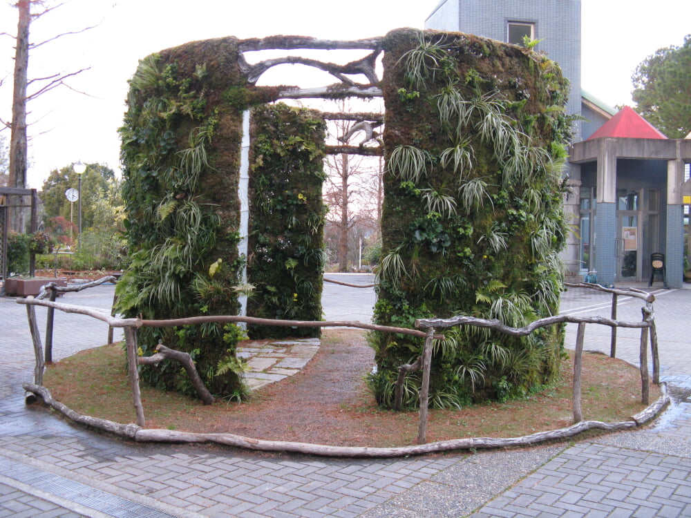 大阪府立花の文化園の写真6