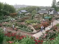 大阪府立花の文化園