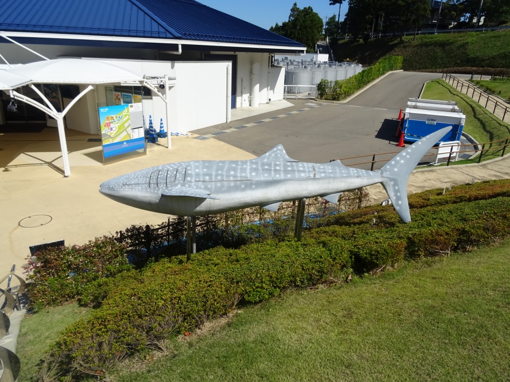 のとじま水族館の写真2