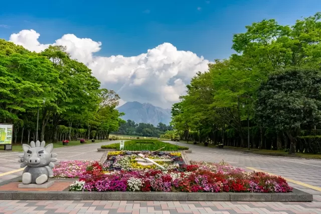 鹿児島県立 吉野公園の写真1