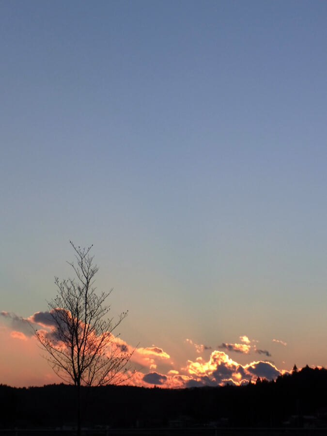 道の駅 東山道伊王野の写真1