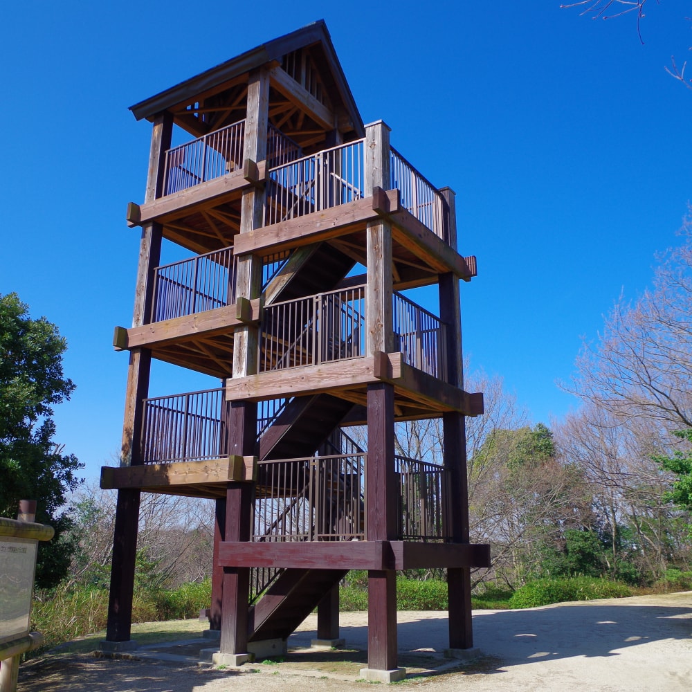 錦織公園の写真4