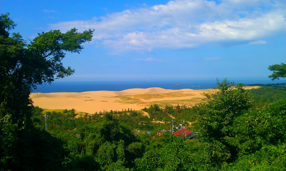 鳥取砂丘の写真4