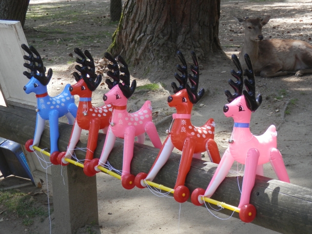奈良公園の写真3