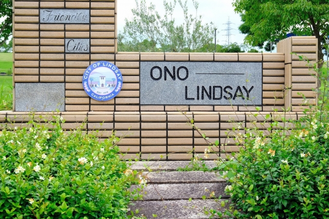 ひまわりの丘公園の写真2