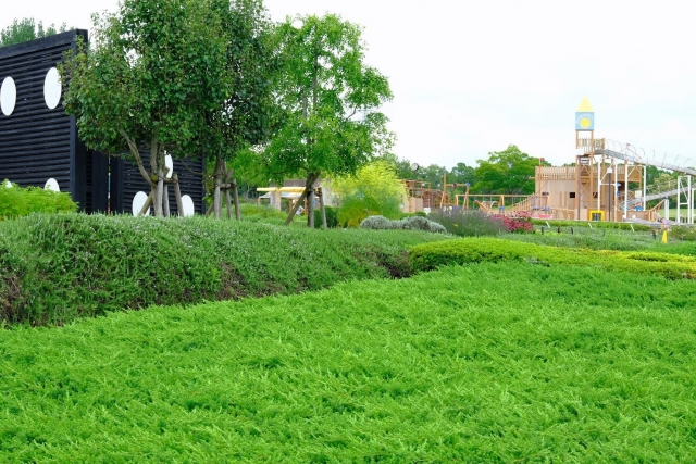 ひまわりの丘公園の写真5