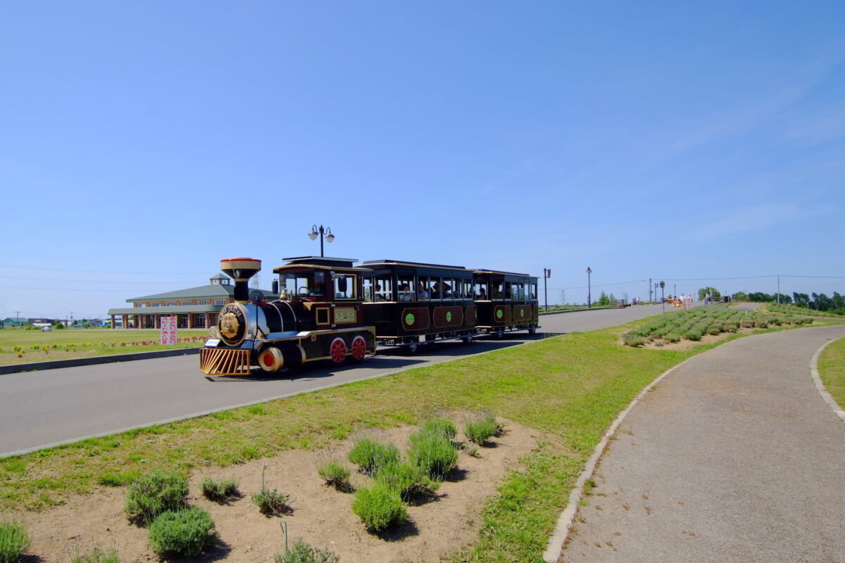 サッポロさとらんどの写真2