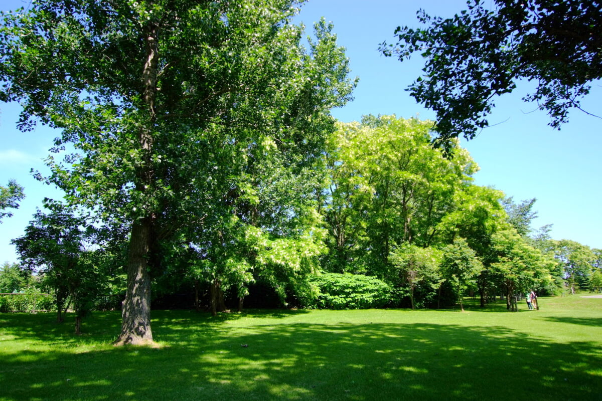 サッポロさとらんどの写真5