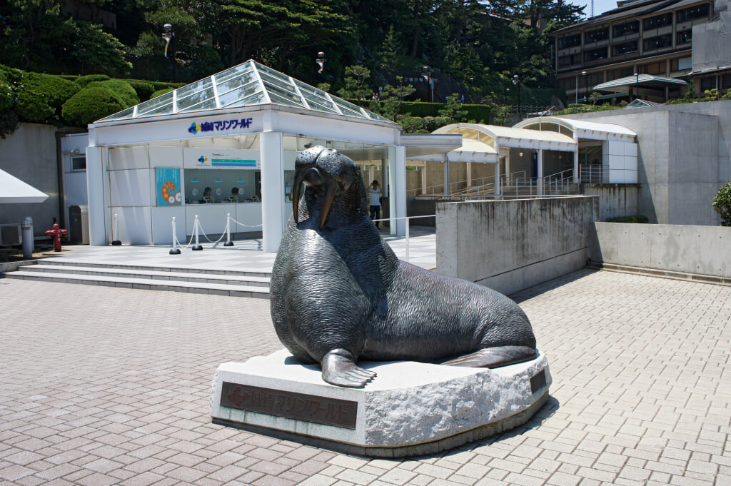 城崎マリンワールドの写真4