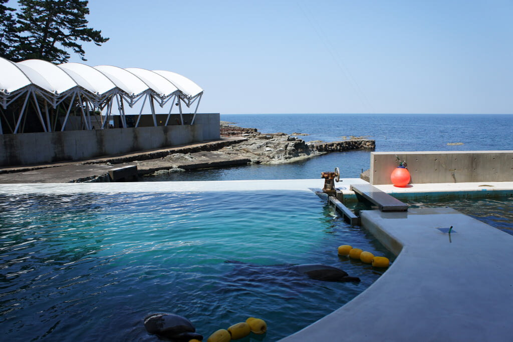 城崎マリンワールドの写真5