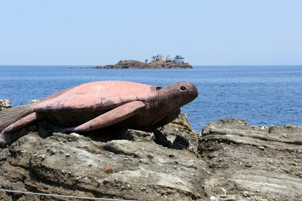 城崎マリンワールドの写真7