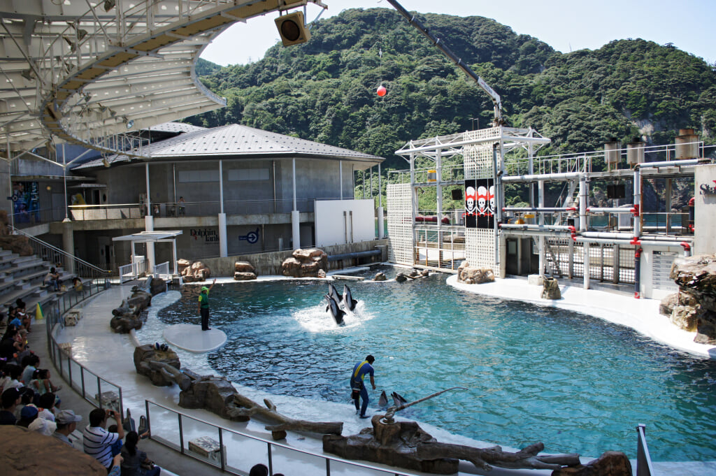 城崎マリンワールドの写真10