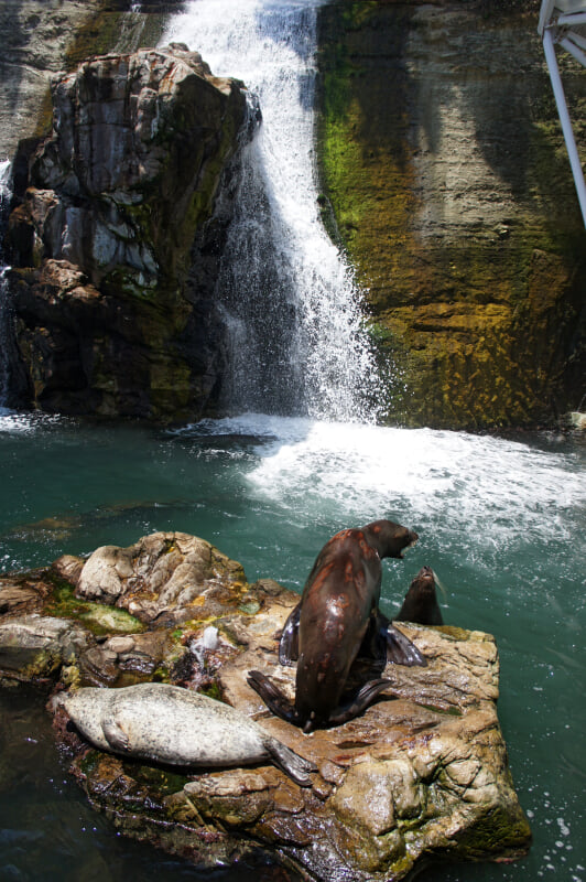 城崎マリンワールドの写真12