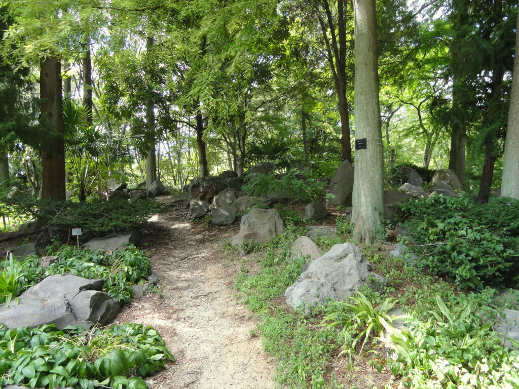 大阪市立長居植物園の写真5