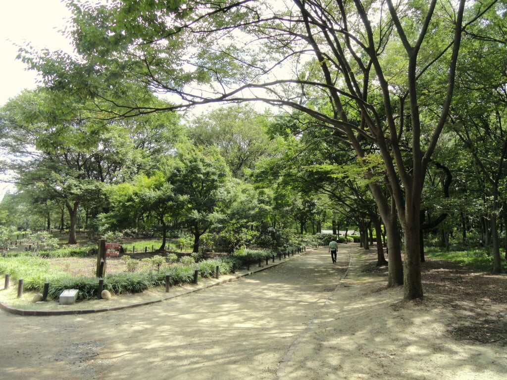 大阪市立長居植物園の写真6