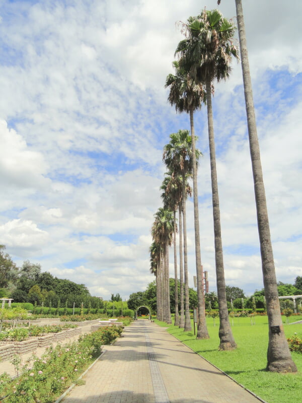 大阪市立長居植物園の写真7