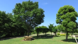 県立 相模三川公園の写真2