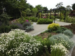 県立 相模三川公園の写真3