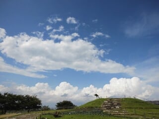 県立 相模三川公園の写真5