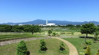 県立 相模三川公園の写真6