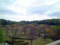 21世紀の森と広場