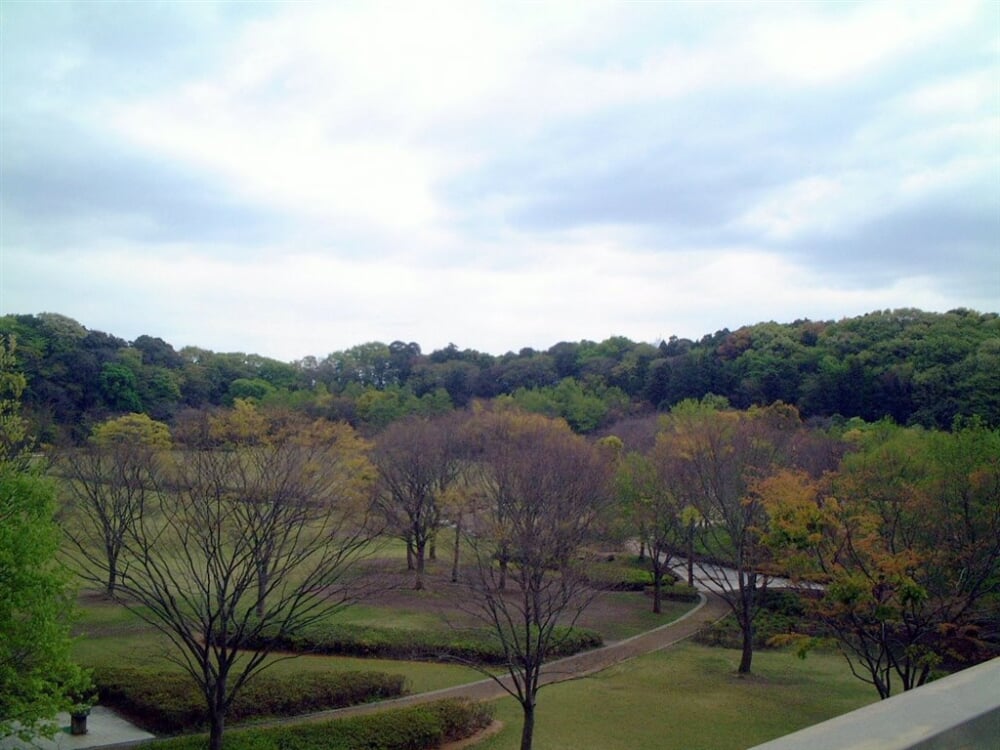 21世紀の森と広場の写真1