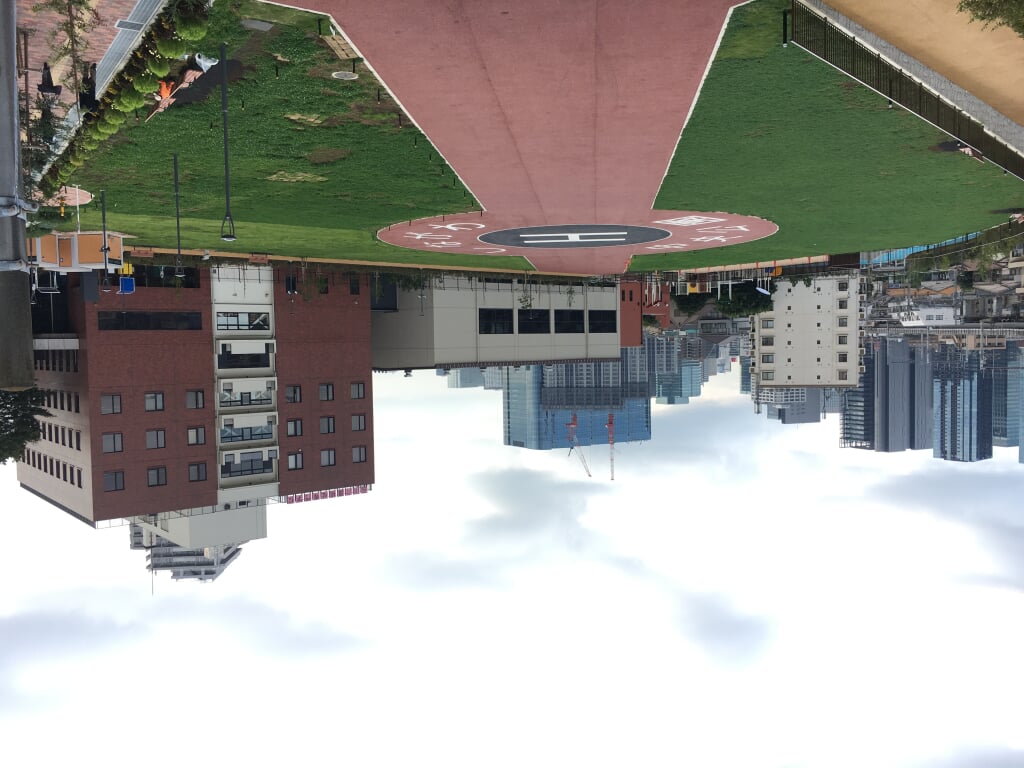 しながわ中央公園の写真2