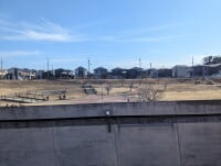 みらい平さくら公園