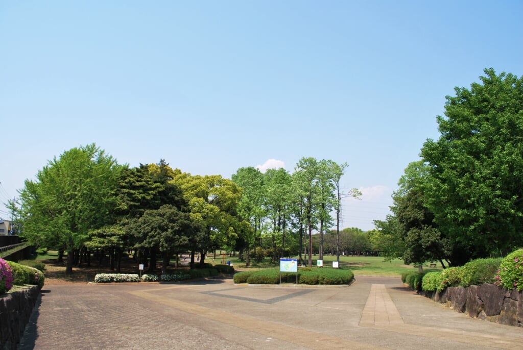 岸根公園の写真4