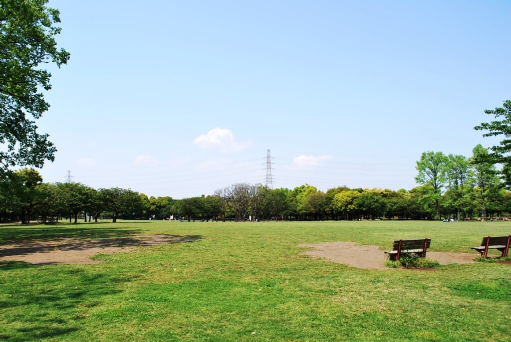 岸根公園の写真5