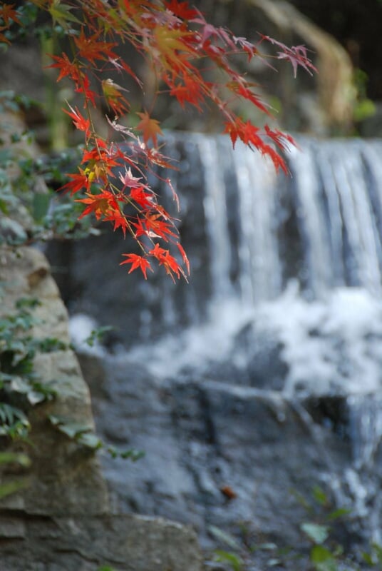 岸根公園の写真6