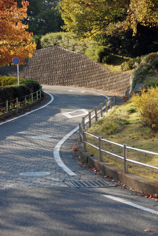 岸根公園の写真7