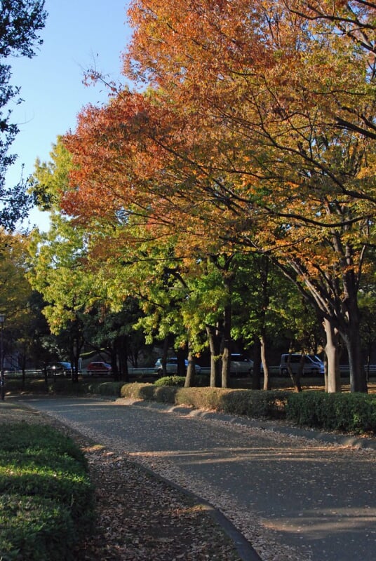 岸根公園の写真10