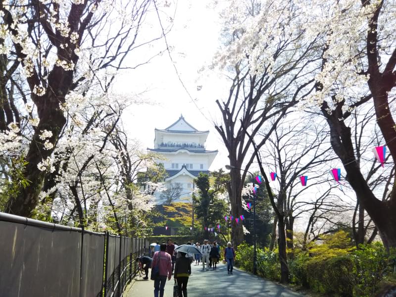 小田原城址公園の写真4