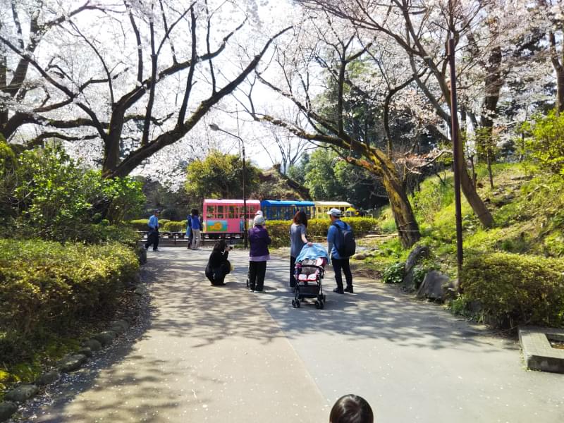 小田原城址公園の写真5