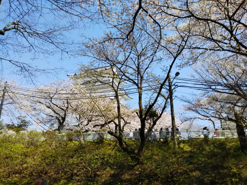 小田原城址公園の写真7
