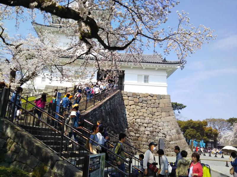 小田原城址公園の写真8