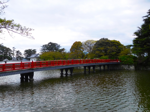 小田原城址公園の写真12