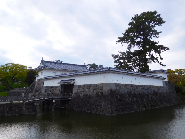 小田原城址公園の写真13