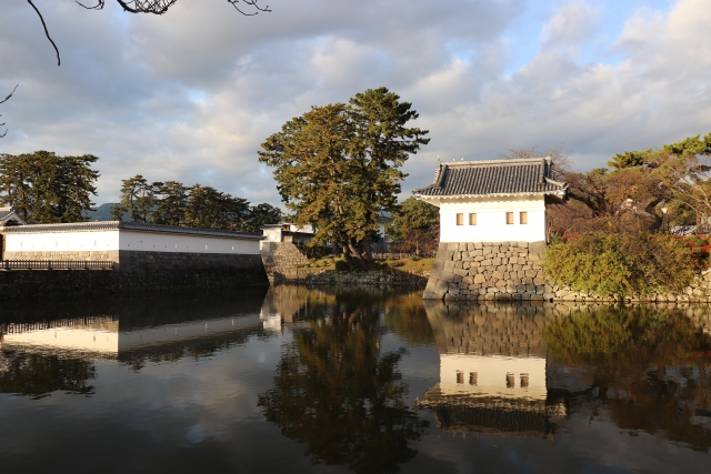 小田原城址公園の写真15